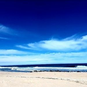 Meet your Posher, Tara joan